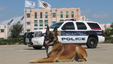 PSD Kennels Police dog purchased and beloved by Cedar Hills Police dept