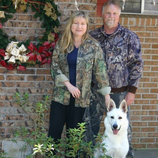 PSD Kennels Review