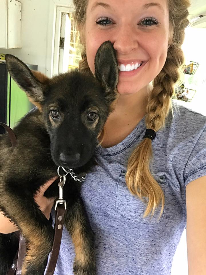 PSD Kennels puppy and training review